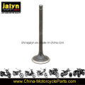 ATV Air Exhaust Valve Fit for Js250 ATV